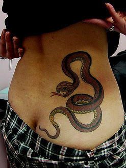 3D Snakes Tattoo on Lower Back