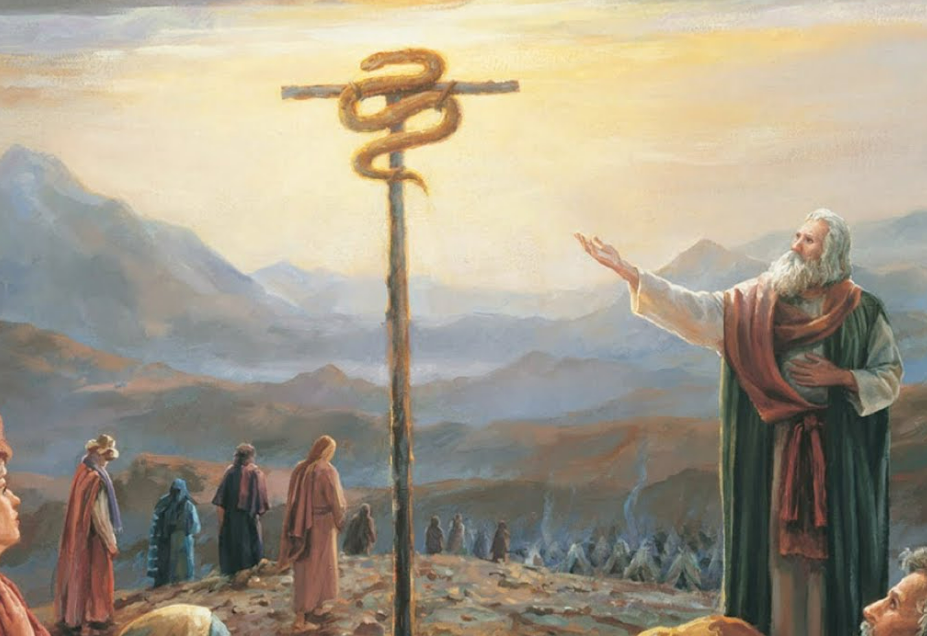 Посох моисея в стамбуле Посох моисея в стамбуле