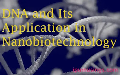 DNA and Its Application in Nanobiotechnology (#nanobiotechnology)(#biotechnology)(#ipumusings)(#eduvictors)