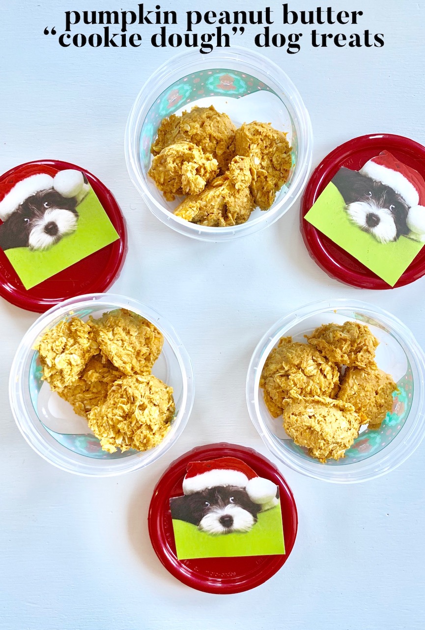 Homemade DIY Christmas Dog Treats Christmas Tree Lane