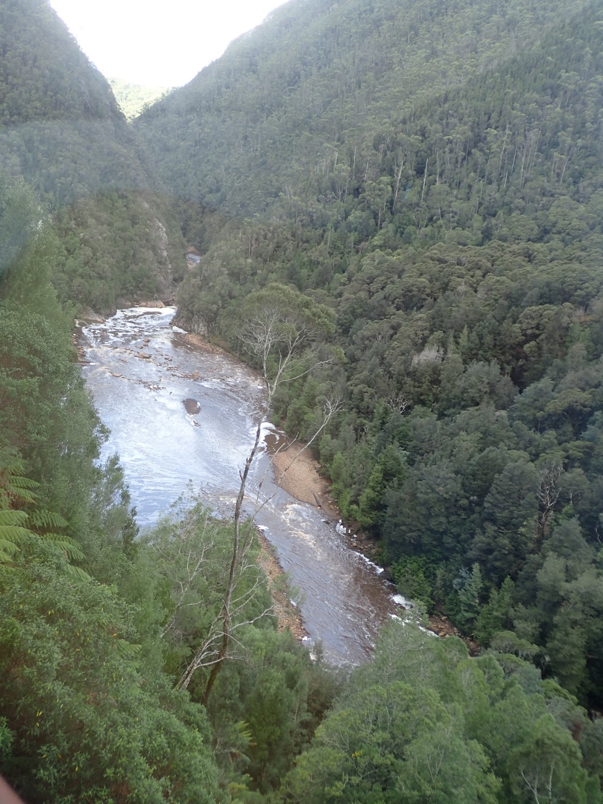 West Coast Wilderness Railway Hiking South East Tasmania
