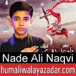 https://www.humaliwalyazadar.com/2018/09/nade-ali-naqvi-nohay-2019.html
