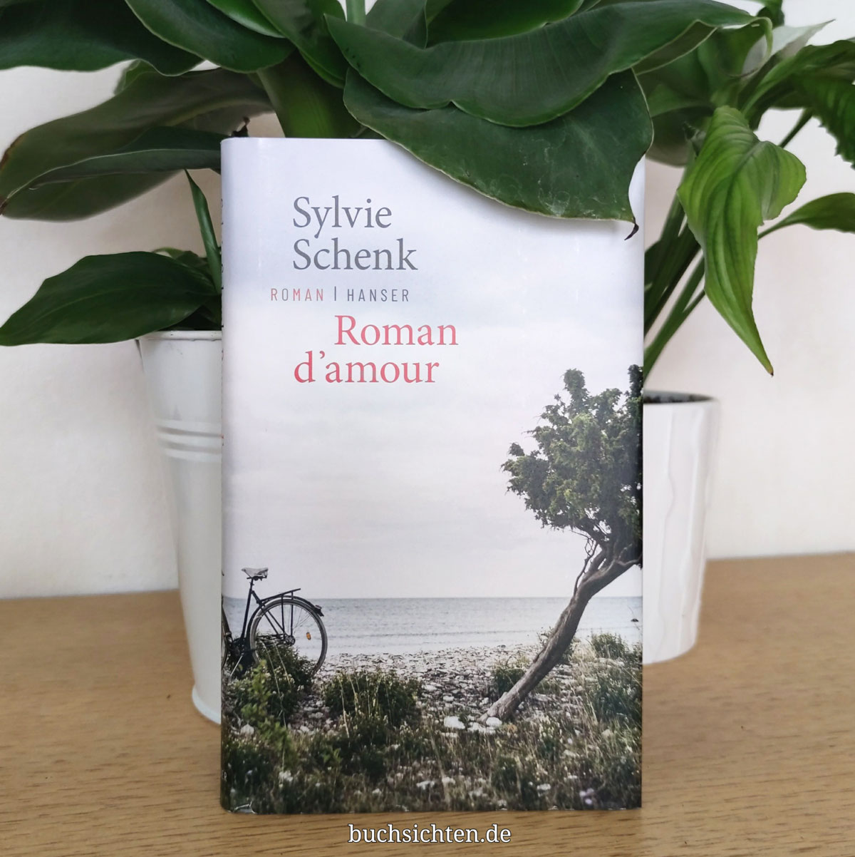 Buchsichten Rezension Roman Damour Von Sylvie Schenk