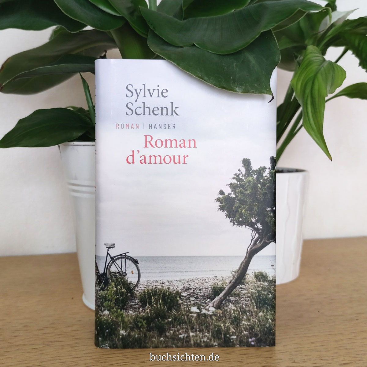 Buchsichten Rezension Roman d'amour von Sylvie Schenk