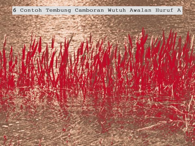 Contoh Tembung Camboran Wutuh - Contoh Tembung Camboran Cara Golden