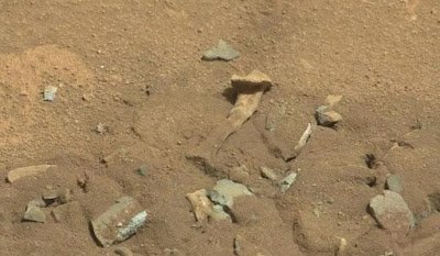 Bone on Mars
