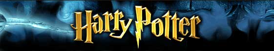 ϟ Hogwarts School of Witchcraft and Wizardry ϟ banner