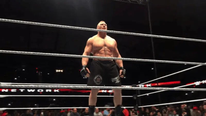 5 Occasions Brock Lesnar was permitted to do what he wished in WWE 5 Occasions Brock Lesnar was permitted to do what he wished in WWE