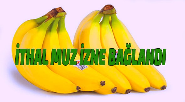 İthal Muz İzne Bağlandı Anamur Muzu,Anamur Haber,Anamur Son Dakika,