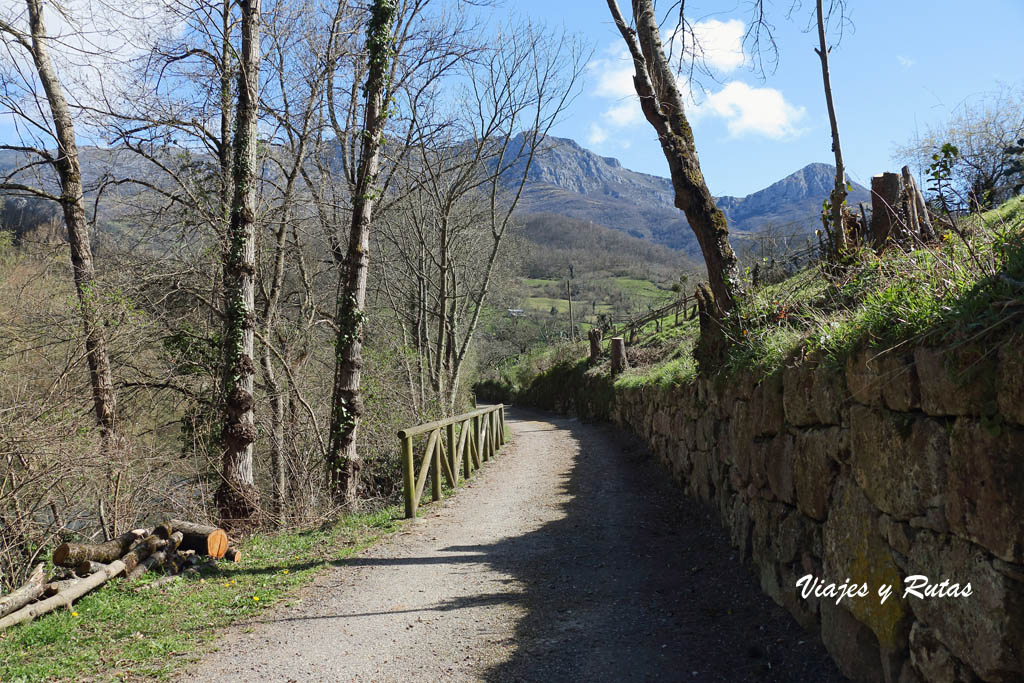 Senda del oso, Asturias