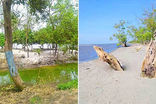 Pantai Monyet Lokasi Tiket Masuk Dan Aktivitas Pariwisata Sumut