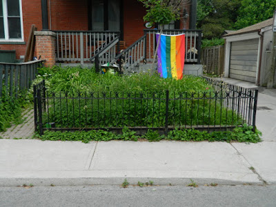 Leslieville Toronto Summer Garden Cleanup Before by Paul Jung Gardening Services--a Toronto Gardening Services Company Leslieville Toronto Summer Garden Cleanup Before by Paul Jung Gardening Services--a Toronto Gardening Services Company