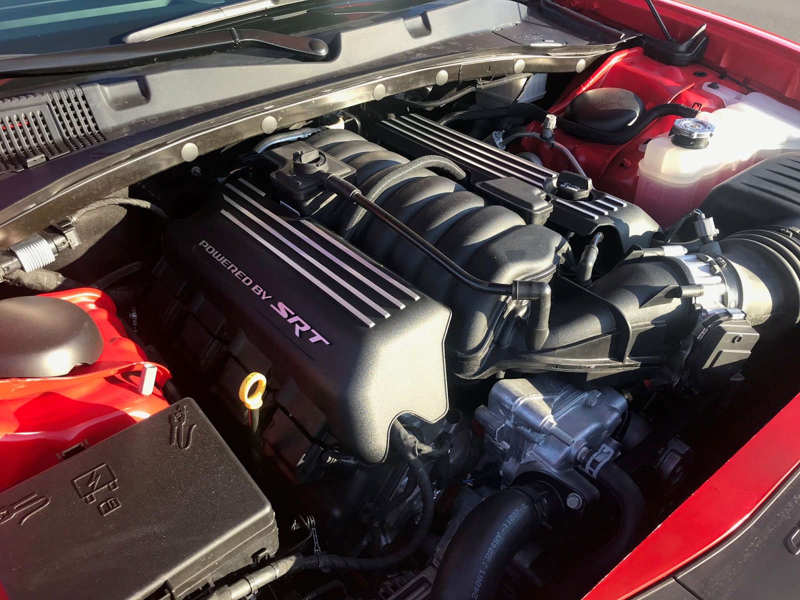 Leader of the Pack: The 2020 Dodge Charger R/T Scat Pack Plus