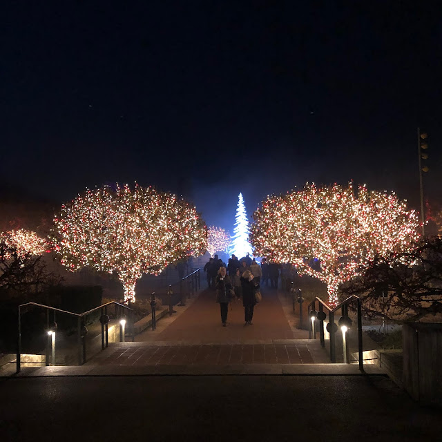 Brilliant lights immediately impress at Chicago Botanic Garden's Lightscape!