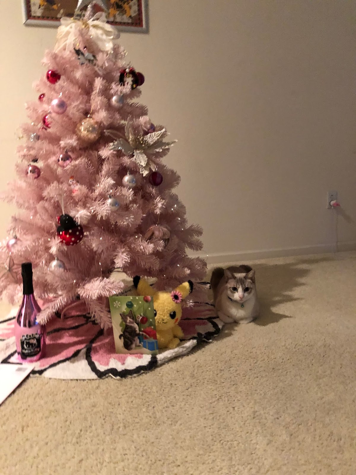 Cat Lady Next Door Amane Shower Head Made in Japan Review