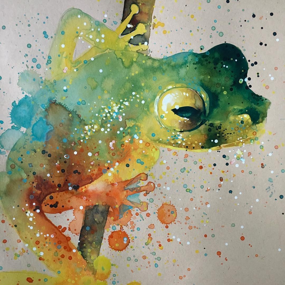 05-frog-Tilen-Ti-Paintings-of-Animals-with-Splashes-of-Paint-www-designstack-co