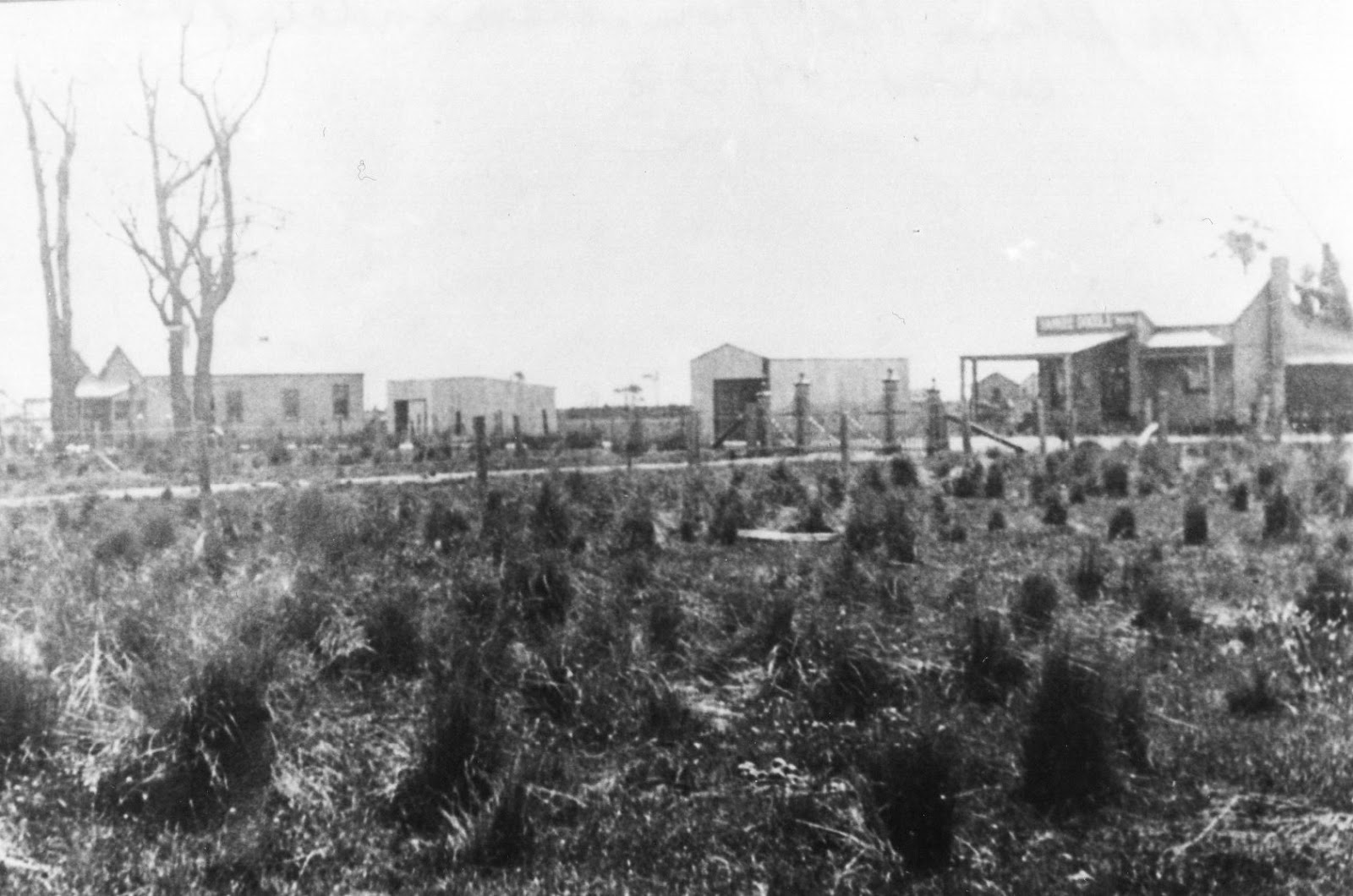 Koo Wee Rup Swamp History Koo Wee Rup in 1903