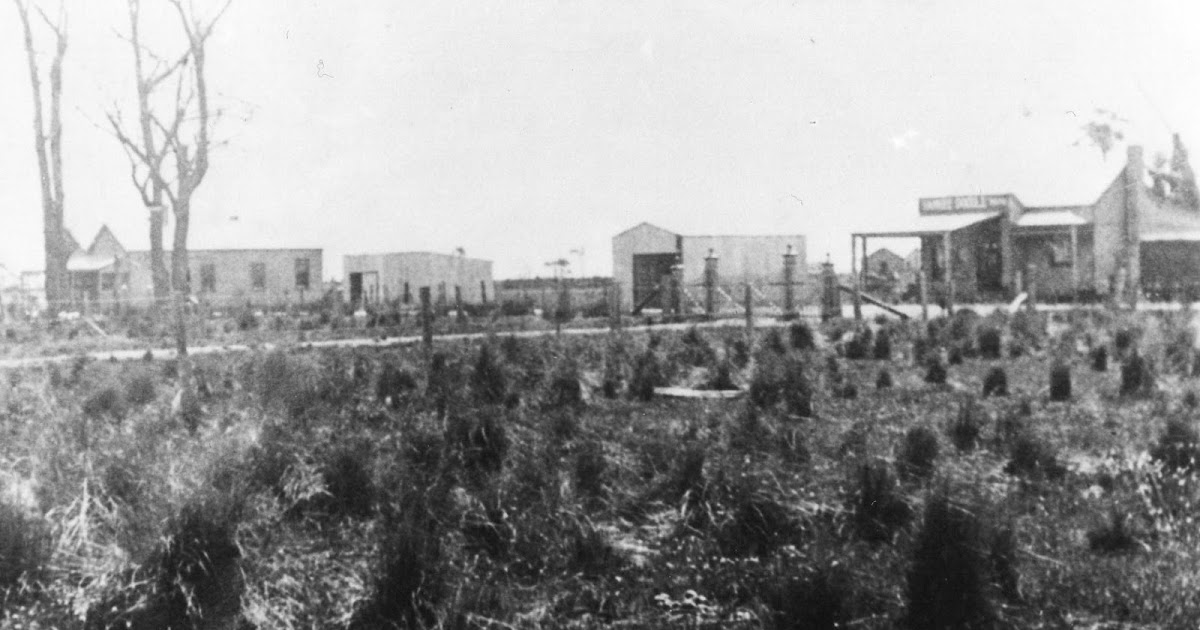 Koo Wee Rup Swamp History Who lived in Koo Wee Rup in 1903?