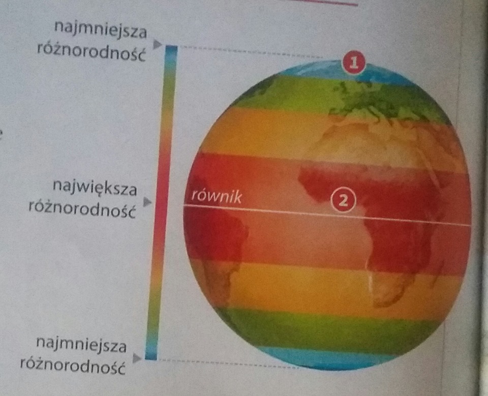 Wpływ Człowieka Na Różnorodność Biologiczną Klimat i czynnki kształtujące różnorodność biologiczną