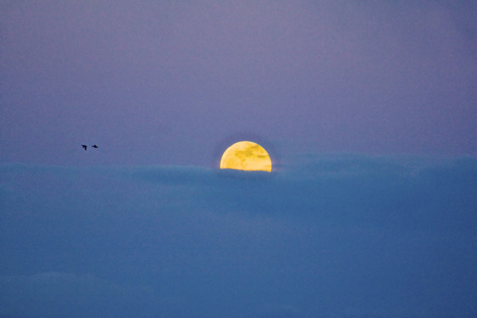 Russman's spot: Blood Moon / Lunar Eclipse