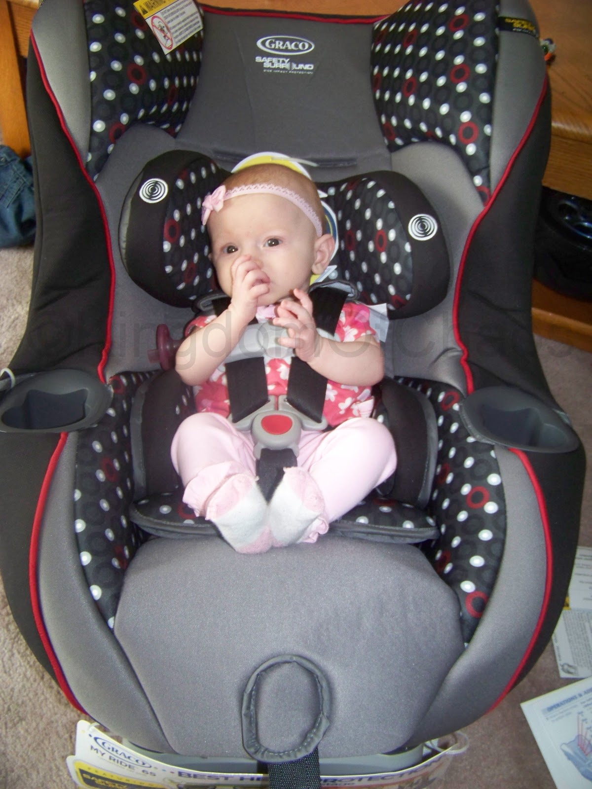 Kingdom of Chaos Reviewing Graco's new MyRide 65 with Safety Surround