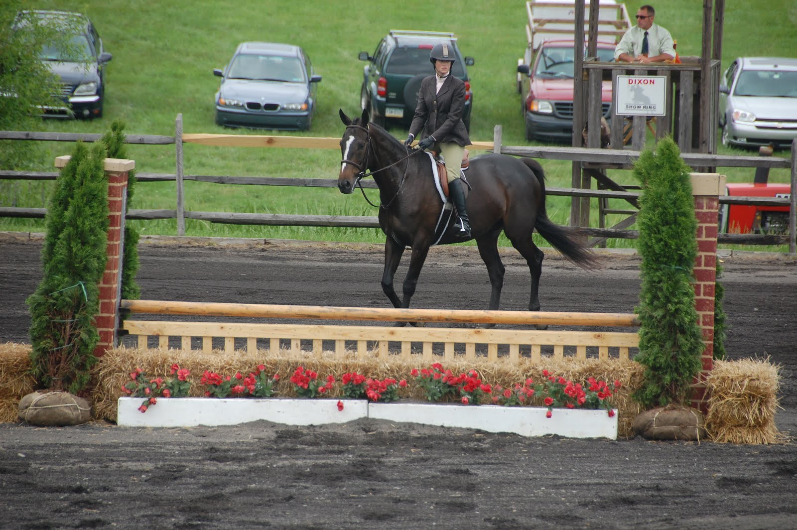 Deals and Daytrips: June Fete--A Daytrip for a Good Cause