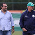 Site: Palmeiras libera lateral, que fica perto de acerto com clube gaúcho