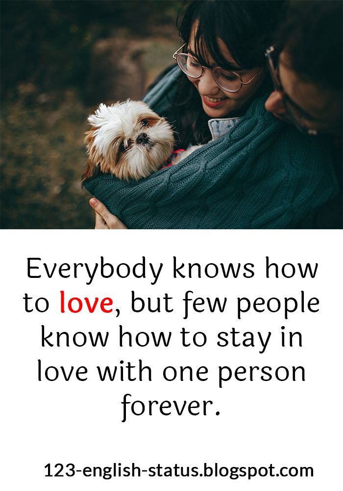 301+ Unique Whatsapp Status Quotes And Captions in English 2020