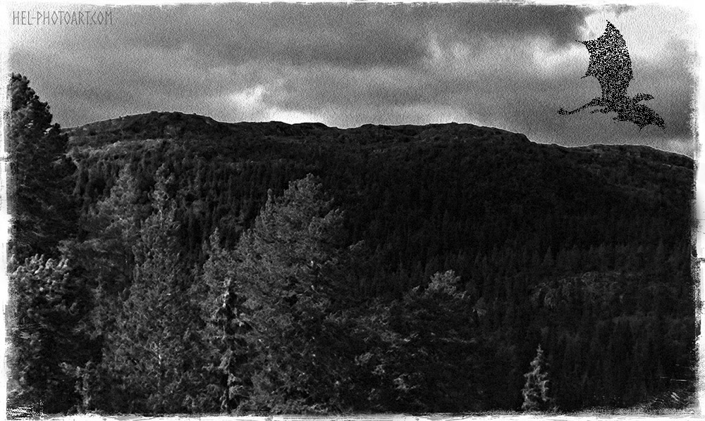 Nordre Land Erotisk Kunst Nordre Land Erotisk Kunst
