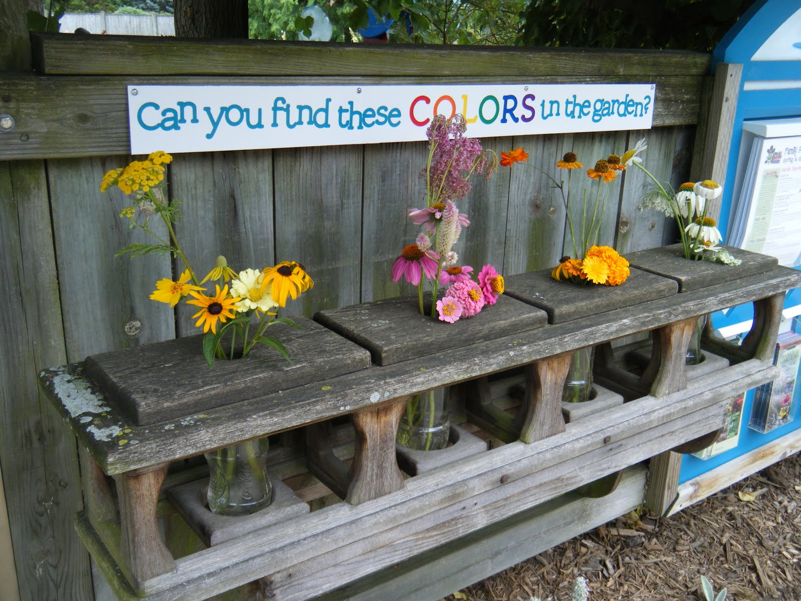 Green Roof Growers A Children's Garden