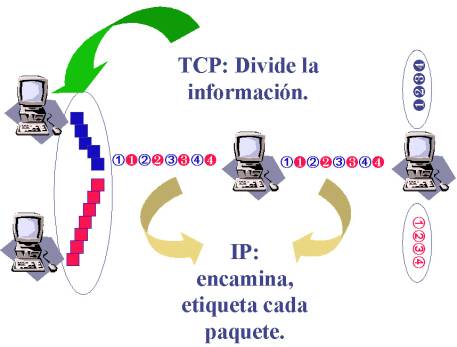 El Plaje.com: ¿Protocolo TCP/IP?