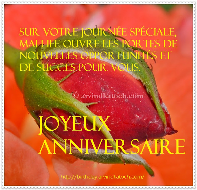French Birthday on Success journée, spéciale, life, nouvelles, success, joyeux anniversaire, French, Birthday card