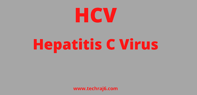 HCV full form, What is the full form of HCV 