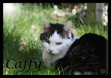 Memoriam: Caffy