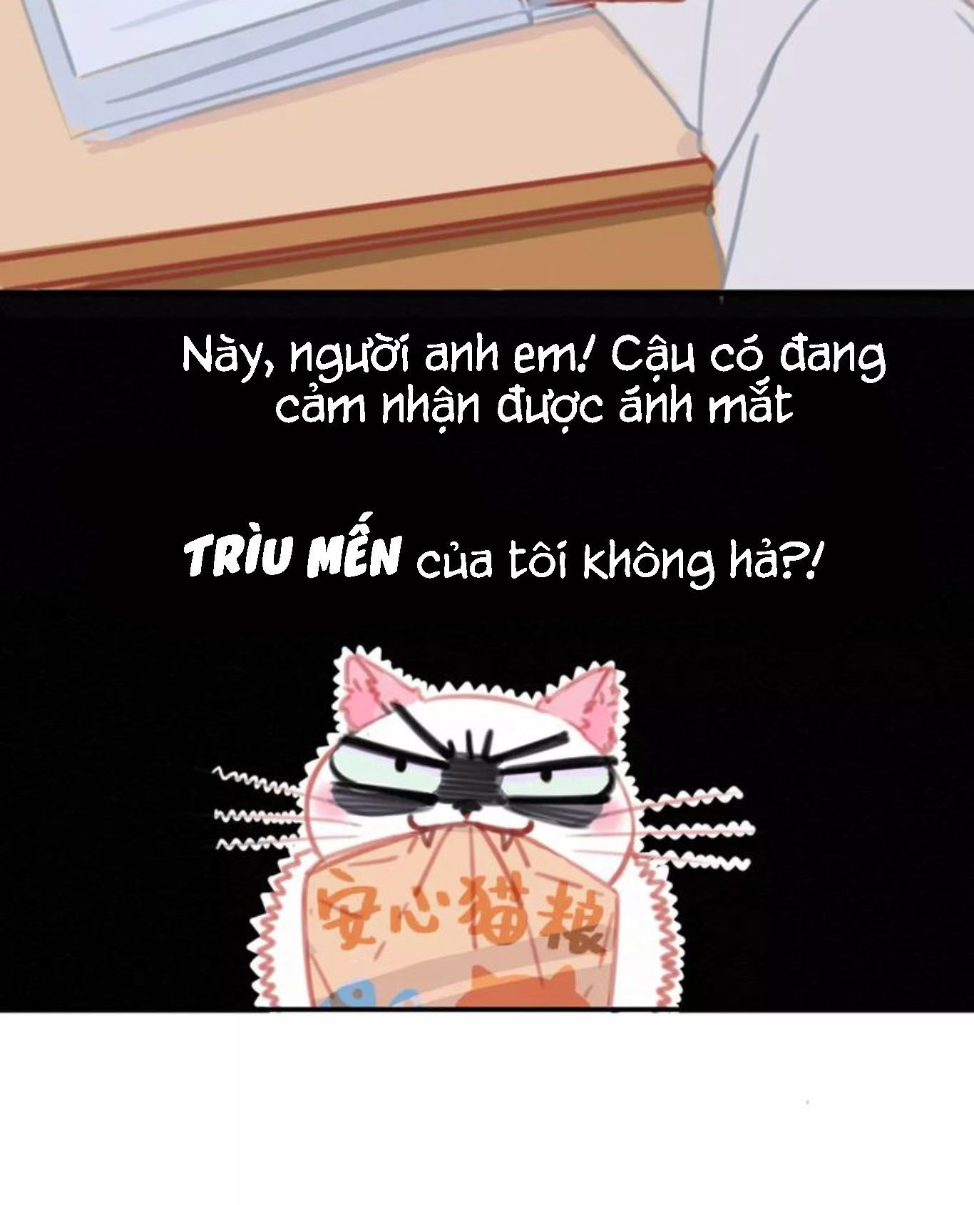 Đọc truyện Thế giới của một chú mèo - Chapter 6