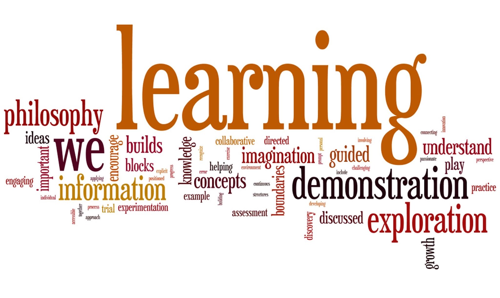 Vidyas Phoenix Psychology Of Teaching And Learning Learning