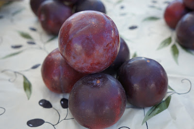 Plums from Shamba Farms at the West End Farmers Market taken by Knerq