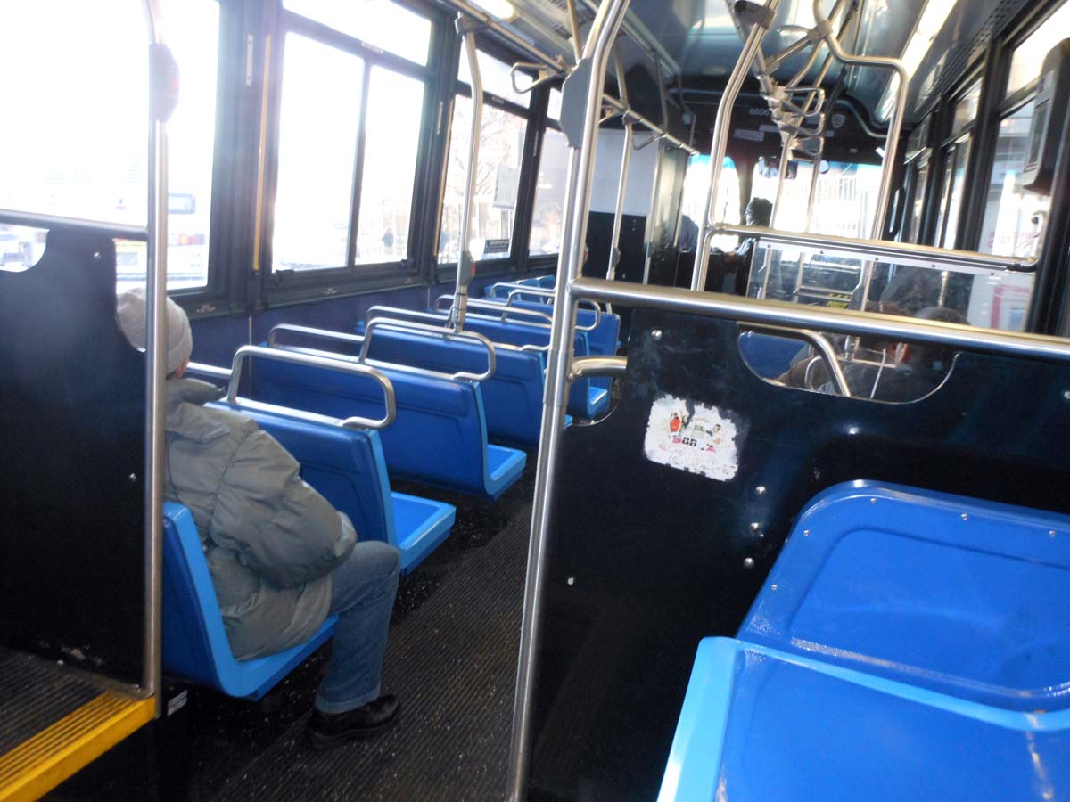 Quotidian New York (1) Staircase nonsequitors, (2) a trip to Staten