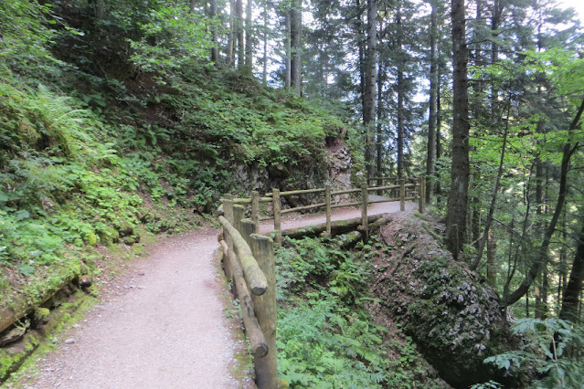 andalo molveno sentiero passeggiata