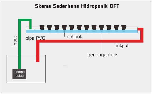 Kelebihan dan kekurangan sistem wick,NFT,DFT dan Rakit Apung Hidroponik Kelebihan Dan Kekurangan Sistem Dft