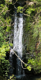 Waterfall at the picnic spot Waterfall at the picnic spot
