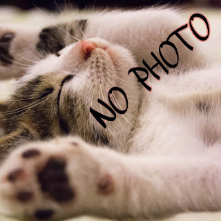 no photo , no dp attractive whatsapp dp