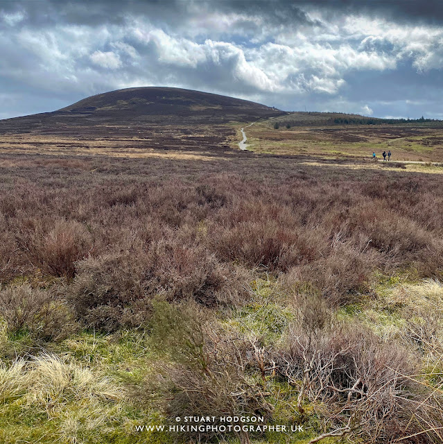 hambleton hill Osmotherley walk Cleveland Way Square Corner Yorkshire walks