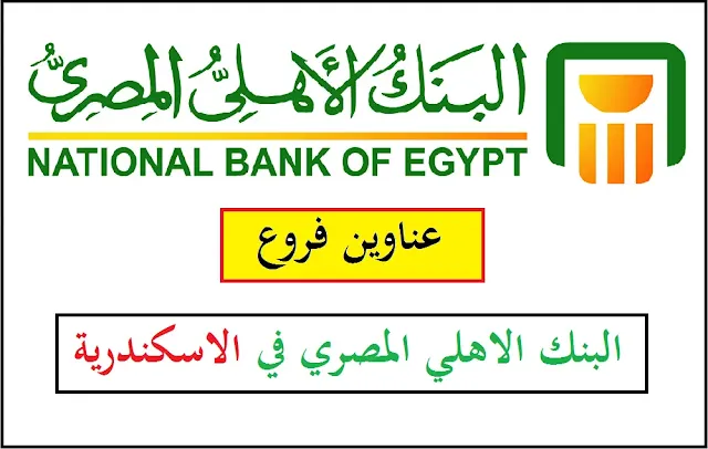 فروع البنك الأهلي المصري في الإسكندرية | عناوين الفروع | مواعيد العمل | أرقام خدمة العملاء