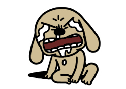 24.gif