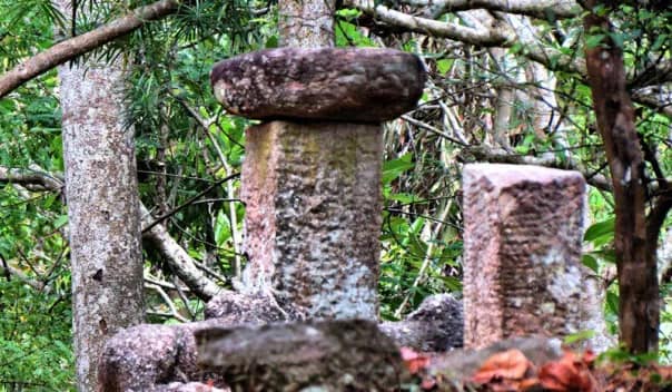 තුරුලතා වලින් වටවූ - කඳාල රජමහා විහාරය 🌿☸️🙏🌳 (Kandala Rajamaha Viharaya) - Your Choice Way