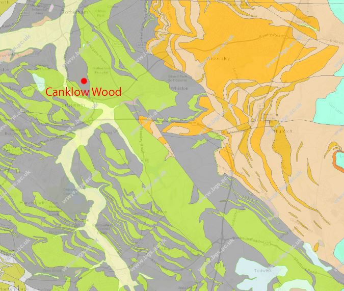 The Language of Stone Geology in Canklow Wood Part 1