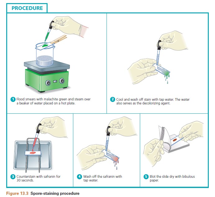 Suyatno Rindang Farmasis James G. Cappuccino