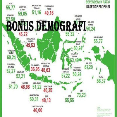 Bonus Demografi Menguntungkan Indonesia ? 