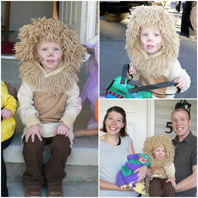 homemade lion costume